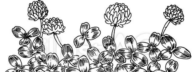 　　　　千咲　　さんの壁紙画像