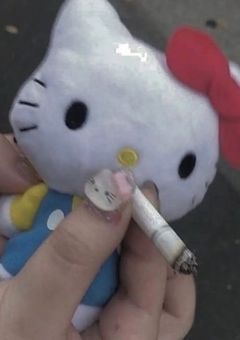 募