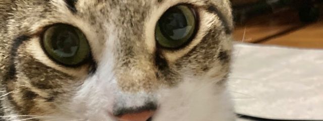 宵月-yoiduki -さんの壁紙画像