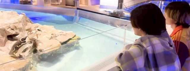 一ノ瀬さんの壁紙画像