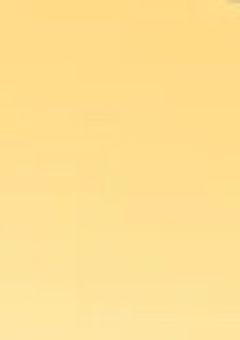 リーダー、幼児化しました