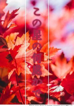 この星の何処かで