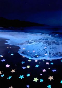 ᴡɪꜱʜ ᴍᴇᴍᴏʀɪᴇꜱ ★