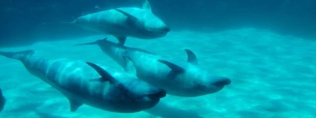 抹茶🍡🍵@パンストにハマったさんの壁紙画像