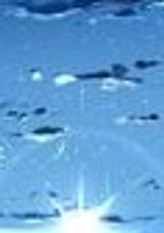 # 雄英生は霊務局所属のヒグマ