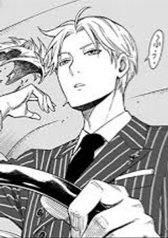 兄がSPYだった件