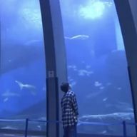 Nyancosさんのアイコン画像