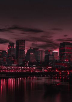 未来、見えるようになりました。