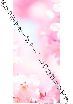 ぶりっ子マネージャー、じつはゴリラです
