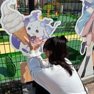 kicoさんのアイコン画像