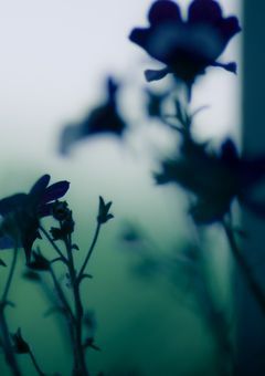 貴方達の話はつまらない。