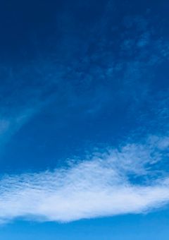 余命100日の僕の日記