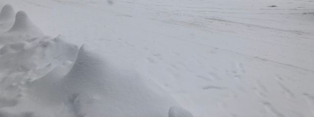 オムマニアさんの壁紙画像