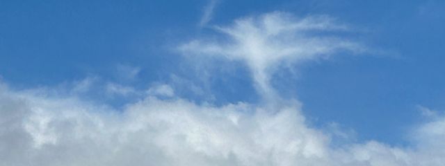 ちくわ笛さんの壁紙画像