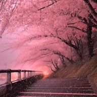 ちくわ笛さんのアイコン画像