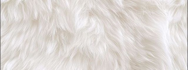 零舞🐑🧩さんの壁紙画像