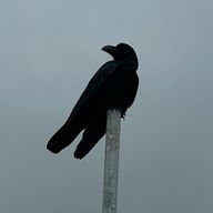 𝙻𝚎𝚒 ~ₓₒ❤︎₁₃~さんのアイコン画像