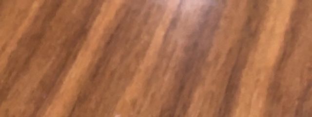 ワン。さんの壁紙画像