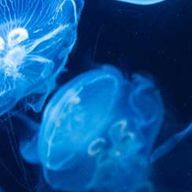 現実逃避さんのアイコン画像