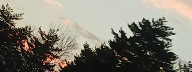 るかな　キャムとペア画中さんの壁紙画像