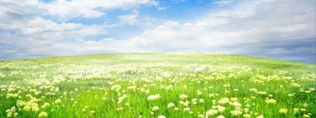 みよさんの壁紙画像