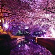 美桜さんのアイコン画像