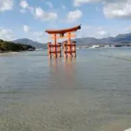 youseiさんのアイコン画像