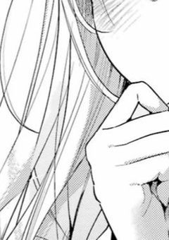 とある高校は、ホスト部がありました