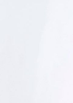 押してダメなら諦めろ wtri