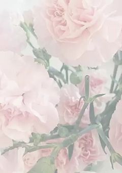 執事を雇ったら推しだった【完結】