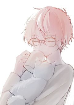 猫拾いすぎました
