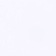 ハチ嫌いさんのアイコン画像