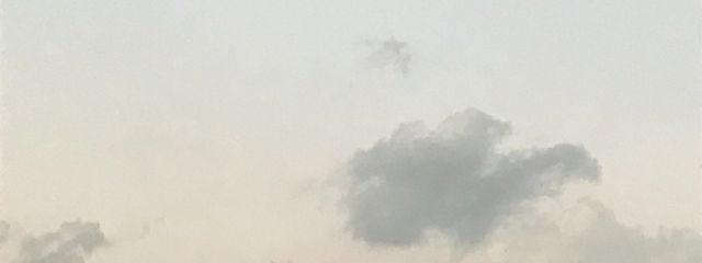 ひのきさんの壁紙画像
