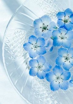 # 仲良しさん募集 ❤︎*. ゜