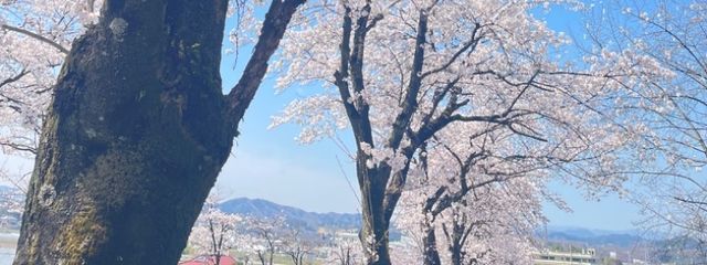 ﾐｻｷ＿🌙🐉さんの壁紙画像