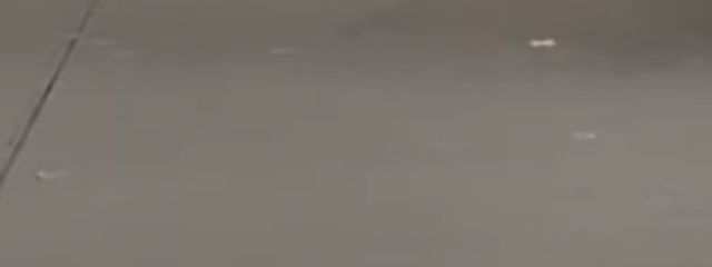 ‌　мuni .   @700人 行ったら 関募かな さんの壁紙画像