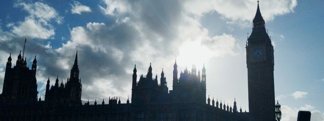 白狐さんの壁紙画像