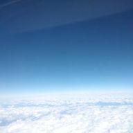 niFさんのアイコン画像