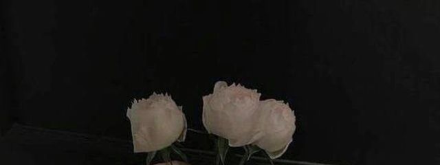 ｱｲﾁｬﾝさんの壁紙画像