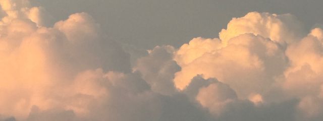 やし🐶🍼🐾🖤さんの壁紙画像