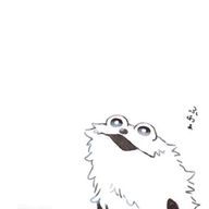 　#　ぅさ　, 🍤🐰さんのアイコン画像