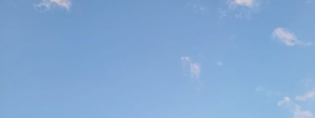 花御 琥海さんの壁紙画像