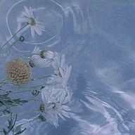 ゆーあ＠学校始まったので不定期🐢投稿さんのアイコン画像