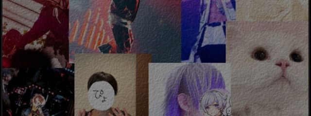 せいら 🫧🐾さんの壁紙画像