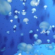 ＭＡＭＩさんのアイコン画像