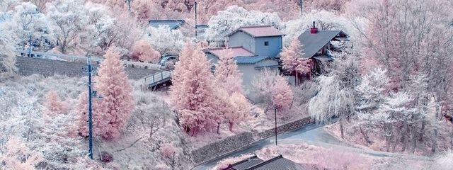 Shulinさんの壁紙画像