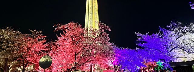 ma_kiさんの壁紙画像