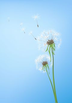 光のない世界で君に恋する