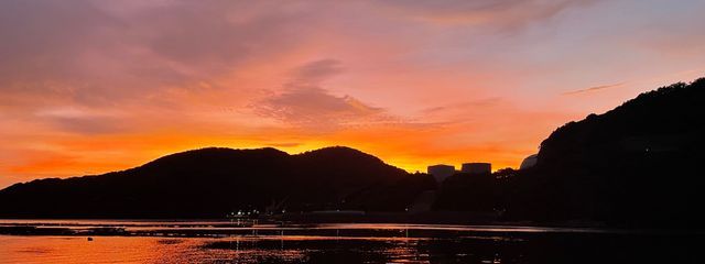 梅花流さんの壁紙画像