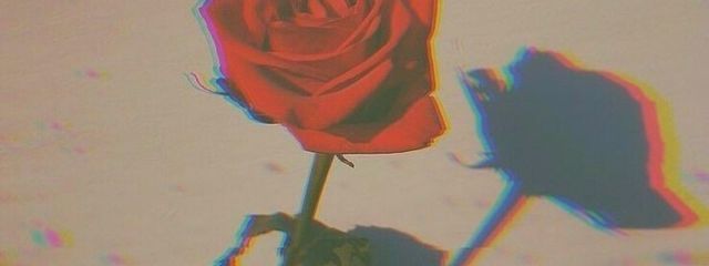 き む 。 更新できてなくてごめんなさいさんの壁紙画像
